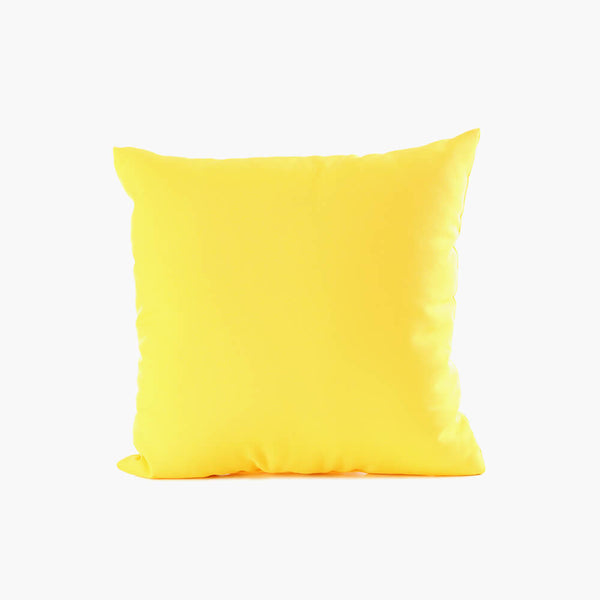 Throw Pillow Cushion